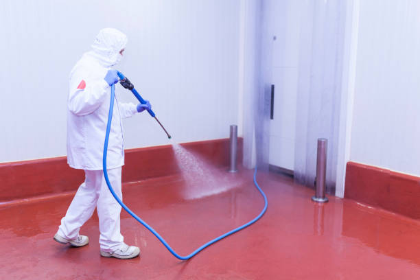 Best Pool Deck Cleaning in San Tan Valley, AZ